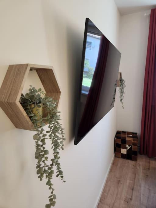 Baltic Garden Suite Dziwnów エクステリア 写真